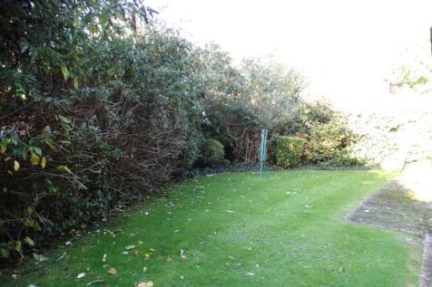back garden.JPG
