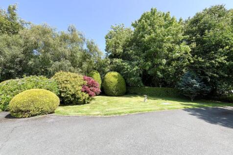 Property Image 41