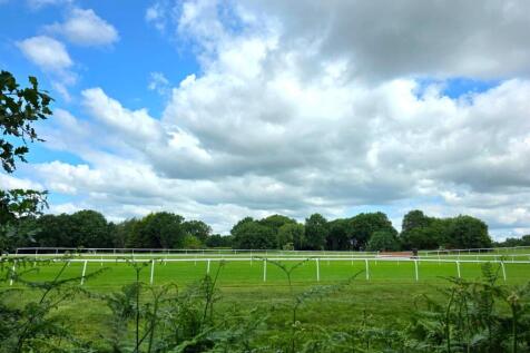 racecourse.jpg