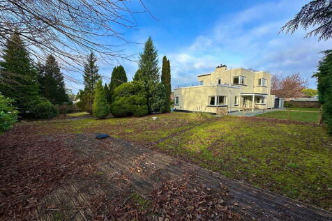 Property Image 42