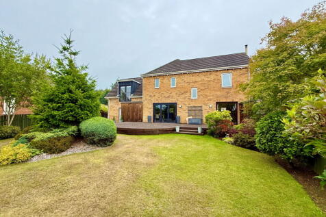 Property Image 40