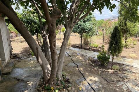 Property Image 39