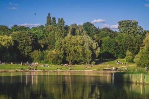 Hampstead Heath Pond.jpg