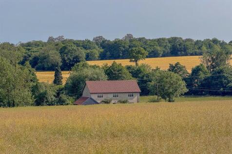 IMG_7972.jpg