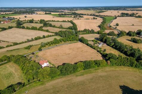 Harleston (14).jpg
