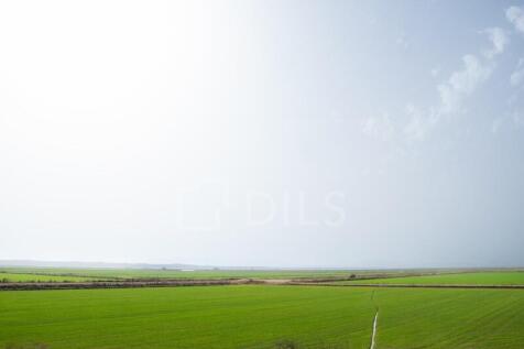 Surroundings