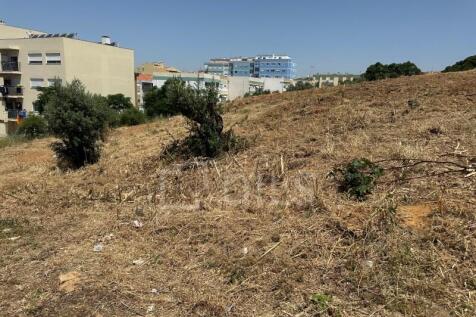 Ground