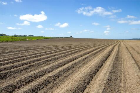 Arable Field