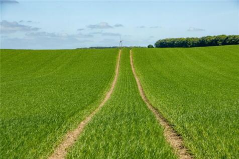 Arable Fields