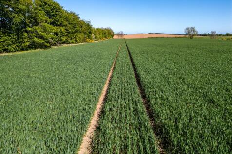Agricultural Land
