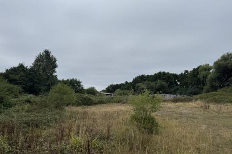 IMG_4979.JPEG