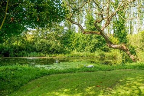 Property Image 26