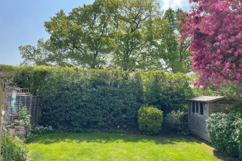 AW Garden2.png