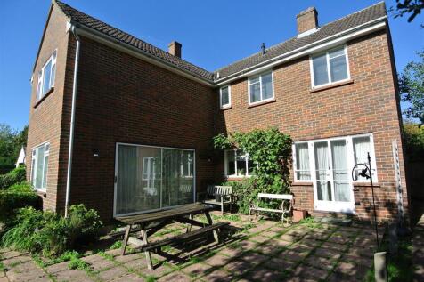 Rear Patio Area