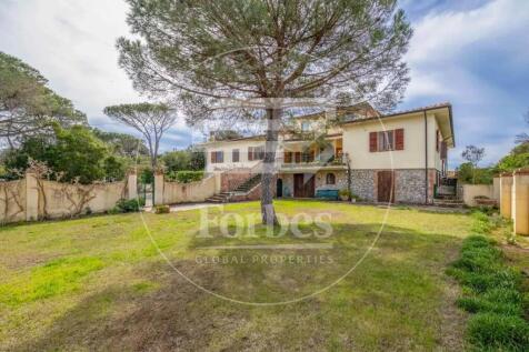 Property Image 60