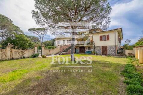 Property Image 60