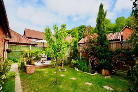 Property Image 16
