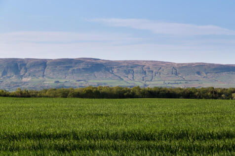 Wallace Fields Local Area