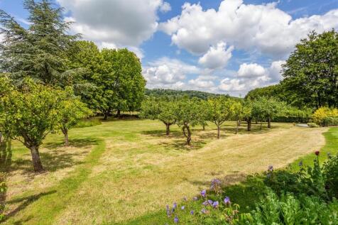 Orchard Area
