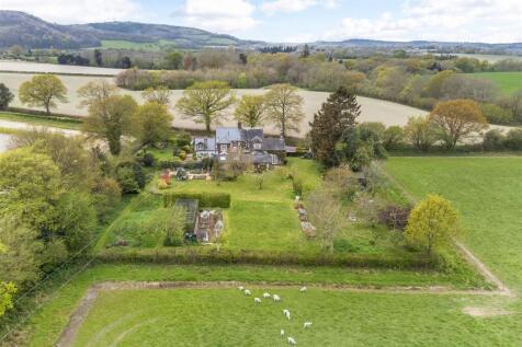 Drone Shot of Garden (2)