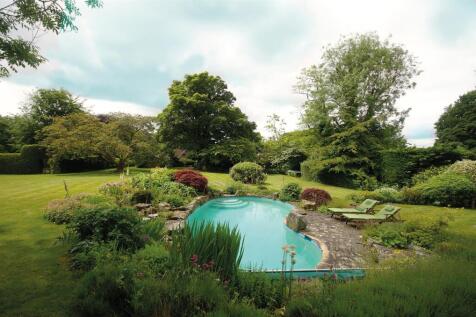 Summer Pool 2