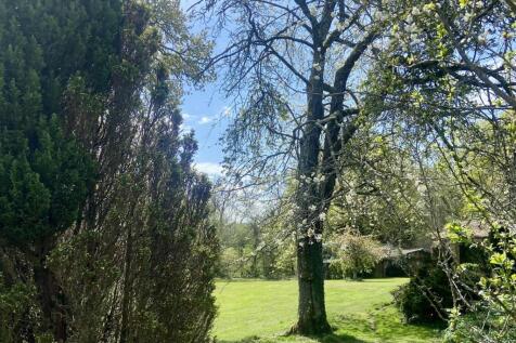 image00005.jpeg