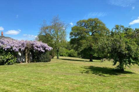 wisteria 3.jpg