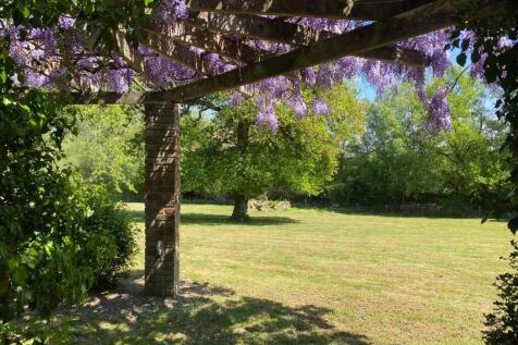 wistera 4.jpg