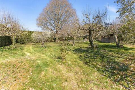 Orchard