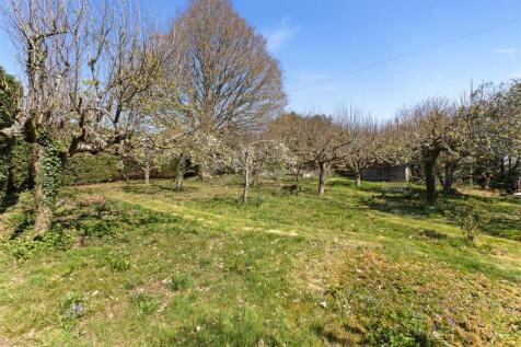Orchard
