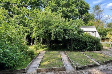 Vegetable Garden