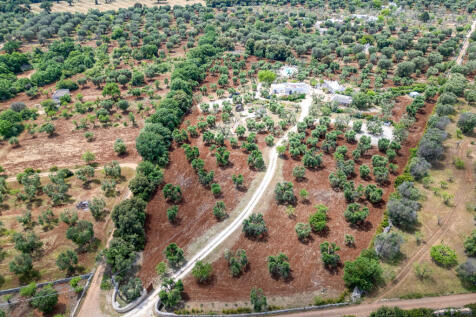 57_45_Villa_Trullo_dei_Profumi_raro_realty_192.jpg