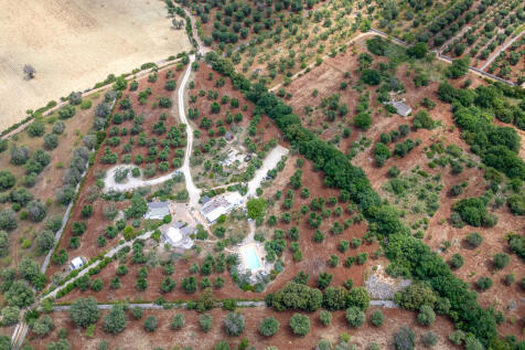 66_59_Villa_Trullo_dei_Profumi_raro_realty_192.jpg