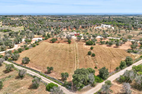 001_2024_lamia del grano_sanvito_raro_realty