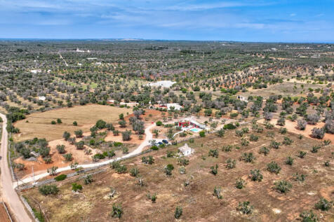 000_2024_lamia del grano_sanvito_raro_realty