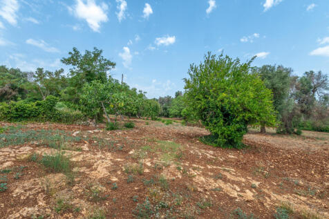 049_masseria_pere_rosse_ceglie_messapica.jpg