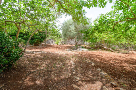 050_masseria_pere_rosse_ceglie_messapica.jpg