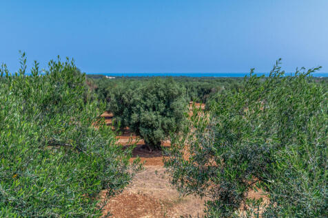 50_MASSERIA ALBERO DOLCE_puglia_raro_realty