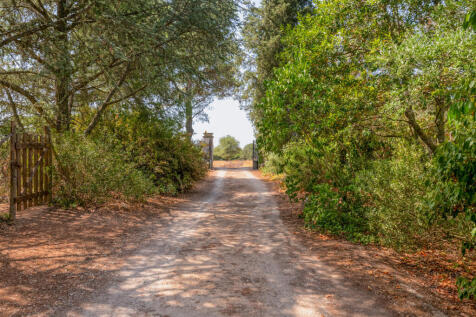 0022356-0_VILLA_BOSCO_GIARDINO_WISHING_PUGLIA_1920