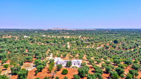 003-drone-villa-puspo-carovigno-alto-salento-puglia-raro-villas-1920