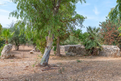 56_Masseria Piccinna_Maruggio_Raro Realty