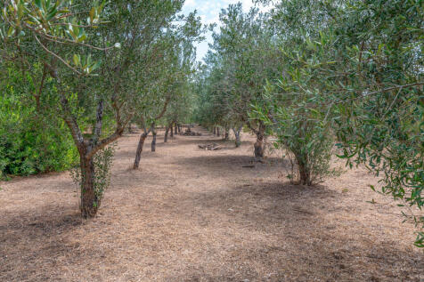 59_Masseria Piccinna_Maruggio_Raro Realty