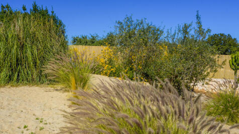 44_RR-ED-201_Villa Lannuzzi_Locorotondo_Raro-Realty