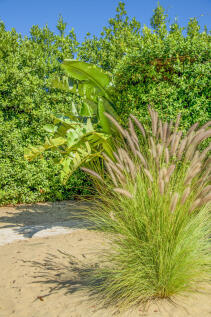 78_RR-ED-201_Villa Lannuzzi_Locorotondo_Raro-Realty