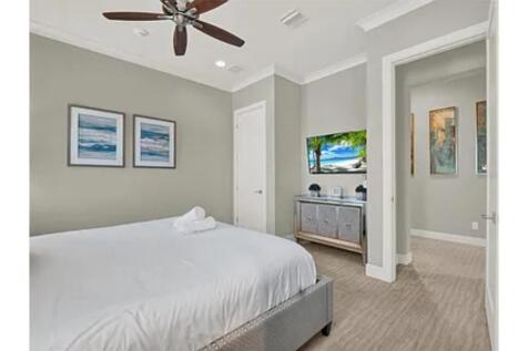 Property Image 81