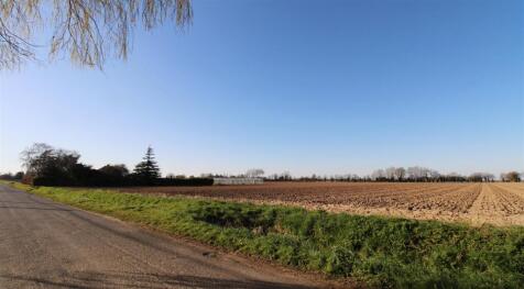 Field Views