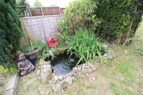 Wildlife Pond