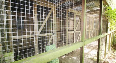 Cattery Units