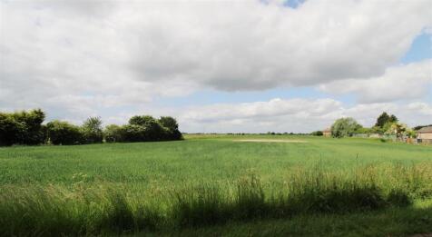 Field Views
