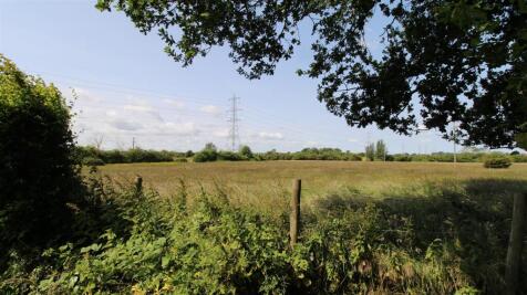 Views of the Common